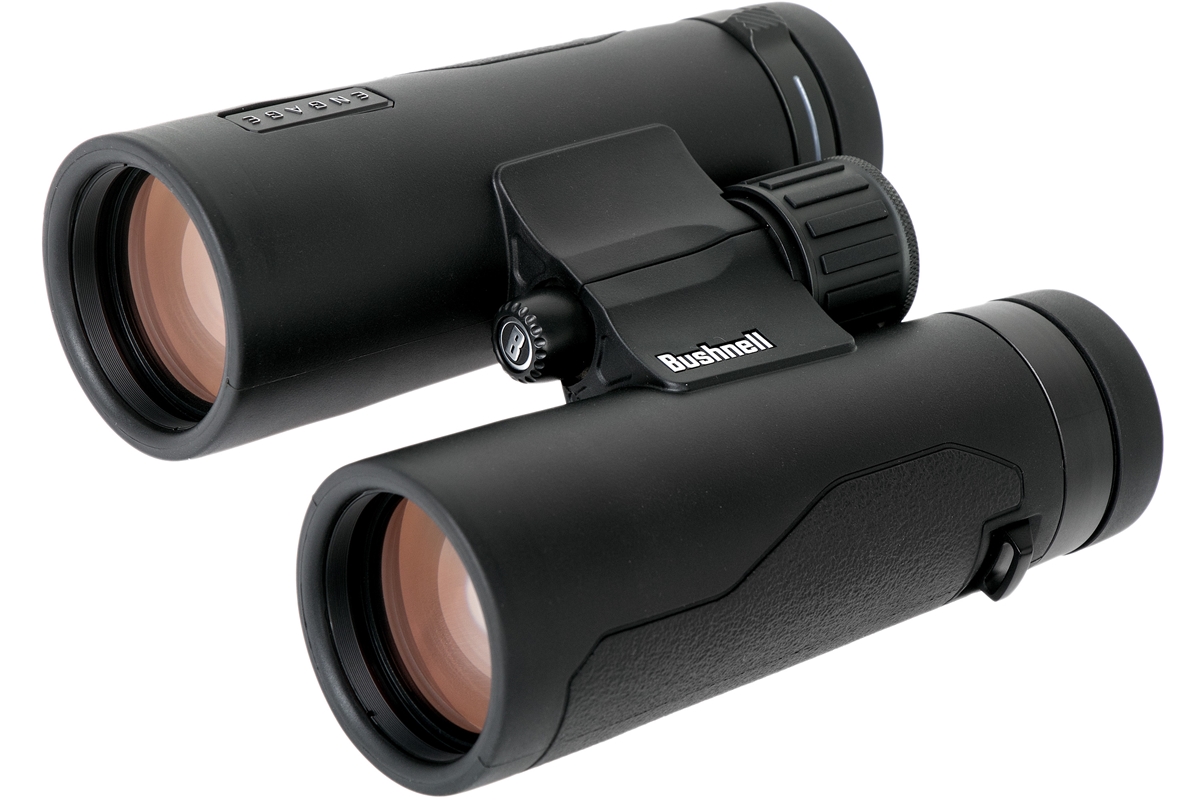 bushnell 10x42 binoculars