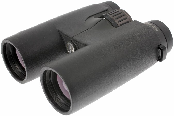 bushnell elite binoculars