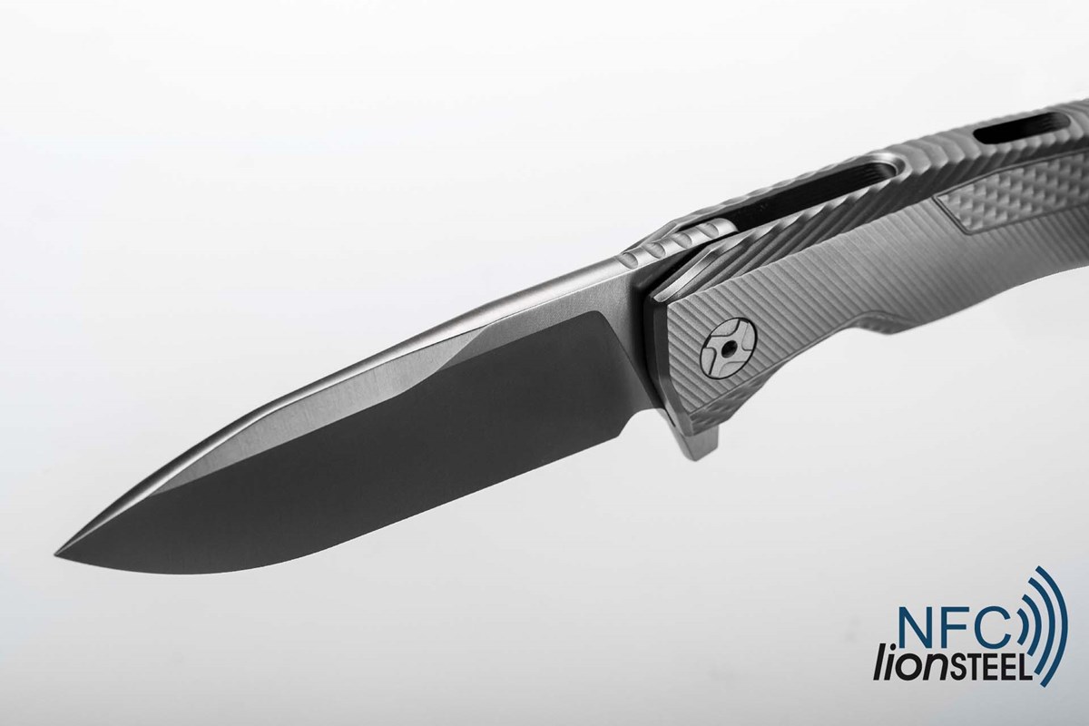 LionSteel ROK