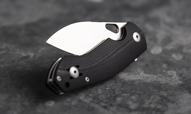 GiantMouse Ace Biblio