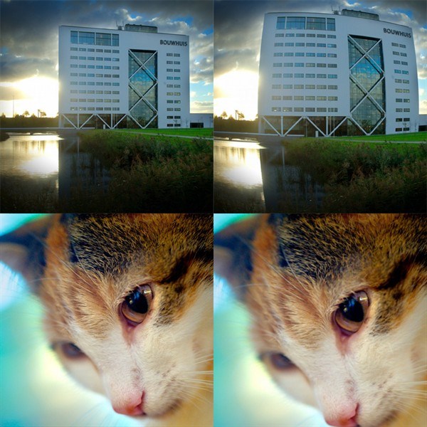 Distorsion