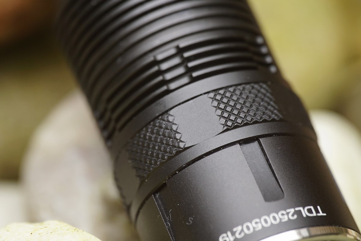 Eden TDL25R Plus